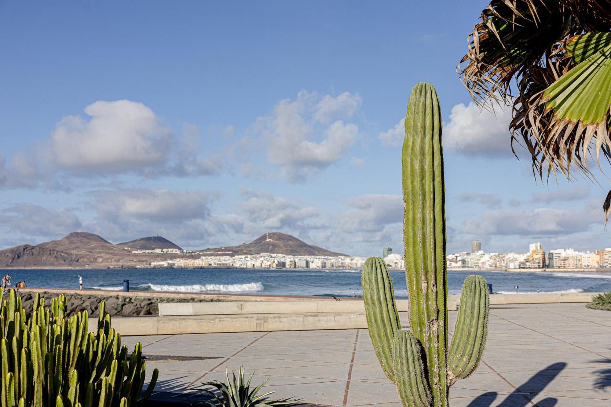 Bambu Suites Vegueta Alquiler Por Habitacion Las Palmas / Gran Canaria Exterior foto
